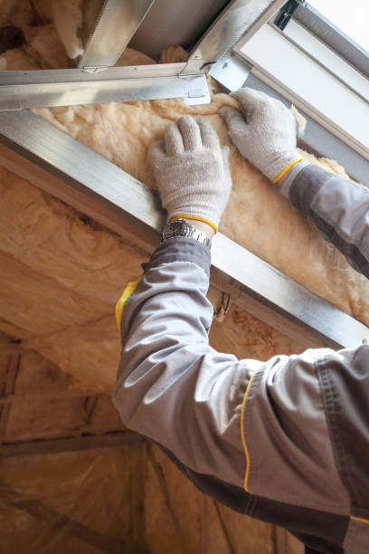 Best Insulation for New Construction  in Flagstaff, AZ